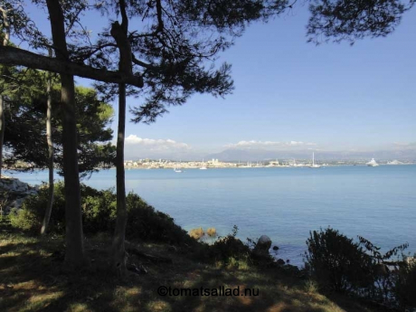 liten-strand-4
