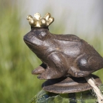 Krönt groda särö trädgård