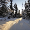 solen skiner på skidspåret
